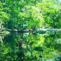 Dyje vysychá. Vědci ukazují, jak vodu vrátit do krajiny